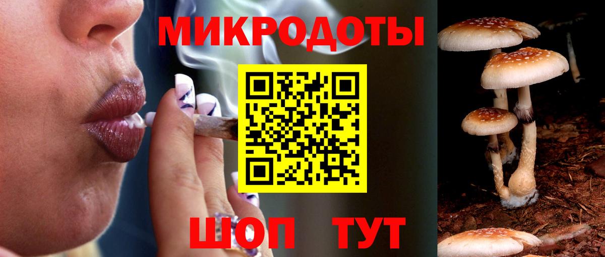 Галлюциногенные грибы Psilocybe Артёмовский